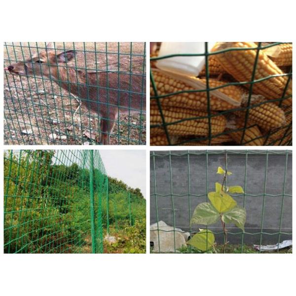 Holland Farm Mesh Fencing Plain Weave For Feeding Animal , Professional Customized