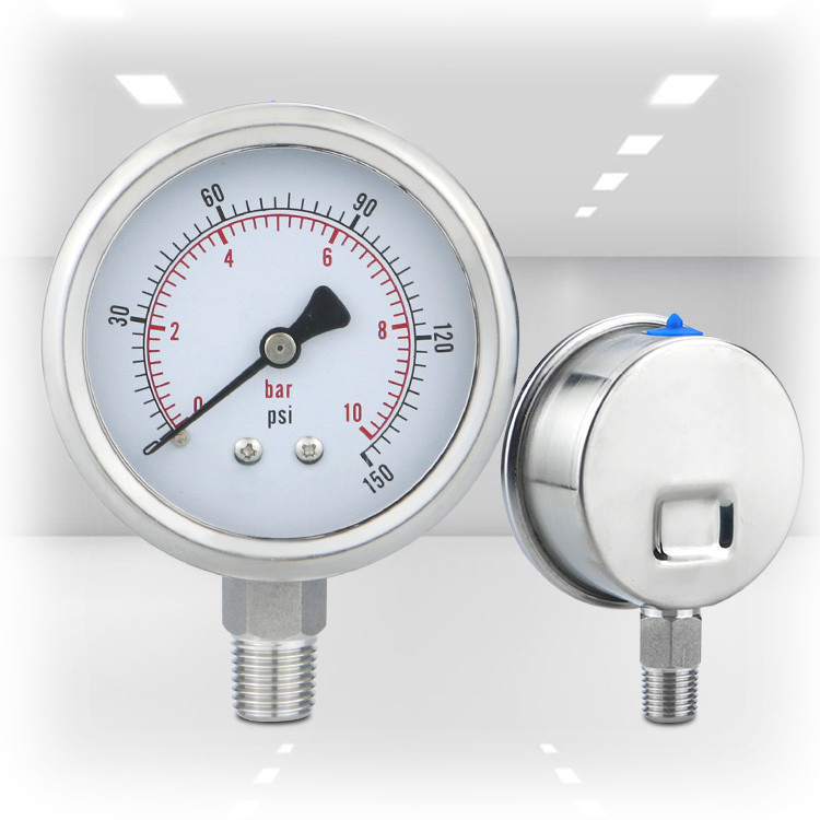 16bar 2.5-inch NPT1/4 Thread Connection 304ss Stainless Steel Pressure Gauges for Outlet