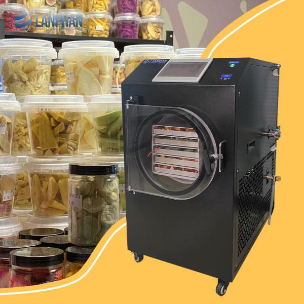 Fruit Vegetable Meat Liquid Candy Small Freeze Dryer Machine With WiFi Function