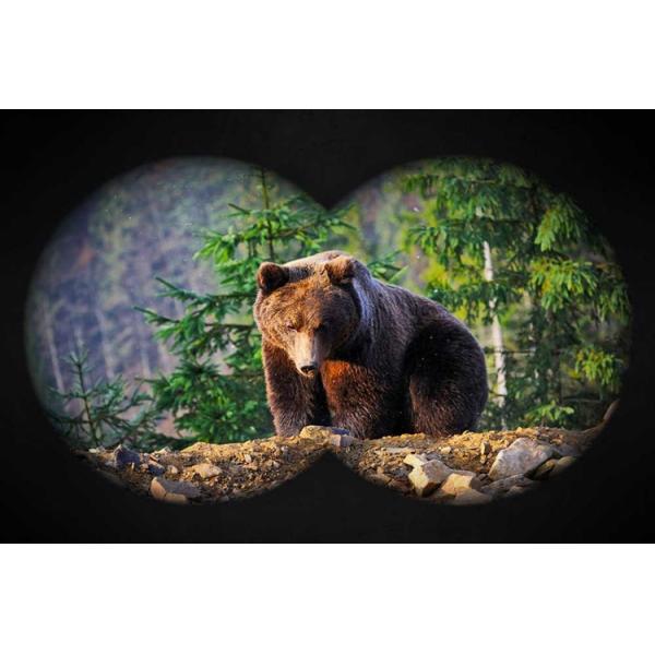 10X25 Waterproof Roof Prism Binoculars BAK4 For Hiking Sighting Aluminum Body