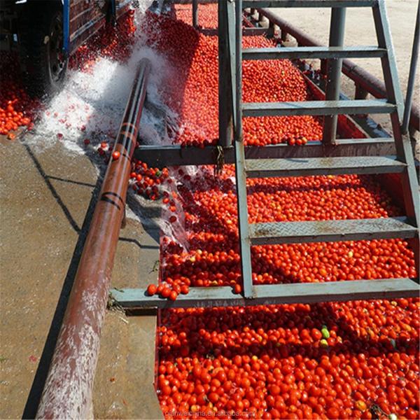 2025 Automatic Tomato Paste Filling Machine Production Line Tomato Sauce Production Line