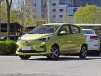 Estrela adulta de Changan E de 5 veículos elétricos do carro elétrico de Seater mini EV