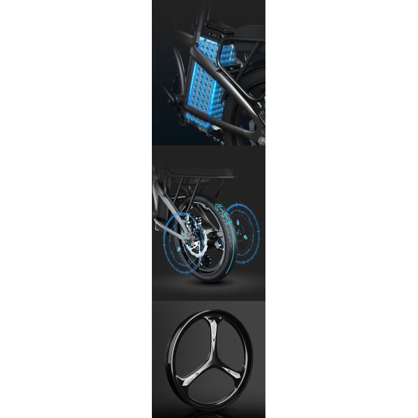 20 Inch Electric Bike Steel Frame Fork 48V 250W Shimano 7 Speed Folding E Bike Electric Bicycle