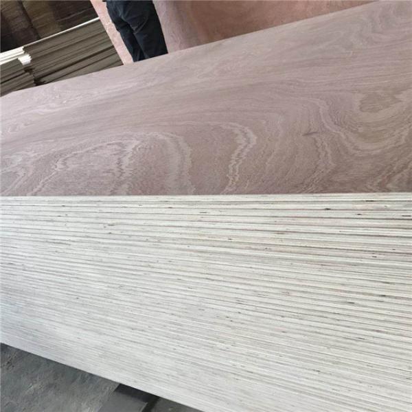 Glue E0 WBP Moisture 12% Sapele Veneer Plywood