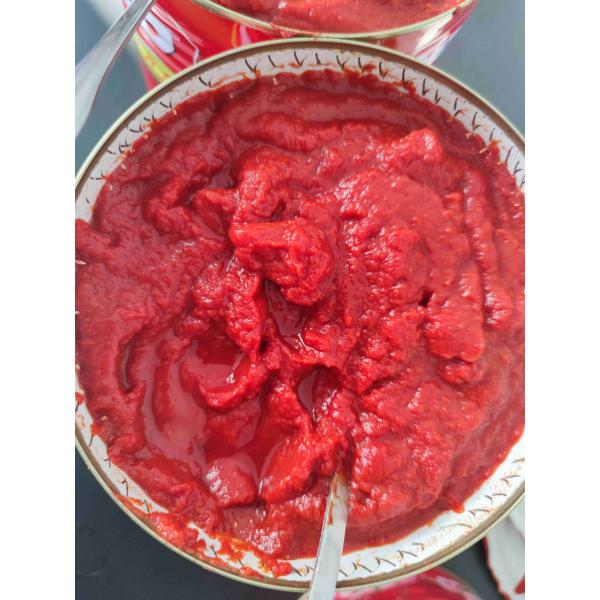 Versatility Canned Tomato Paste Perfect for a Variety of Dishes and Recipes
