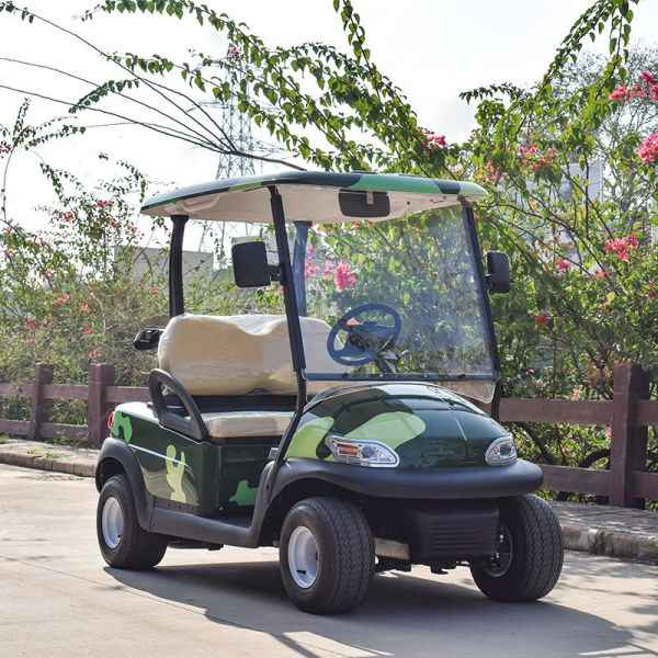Onward 2 Passenger Electric Golf Cart Trojan Battery CE Approved