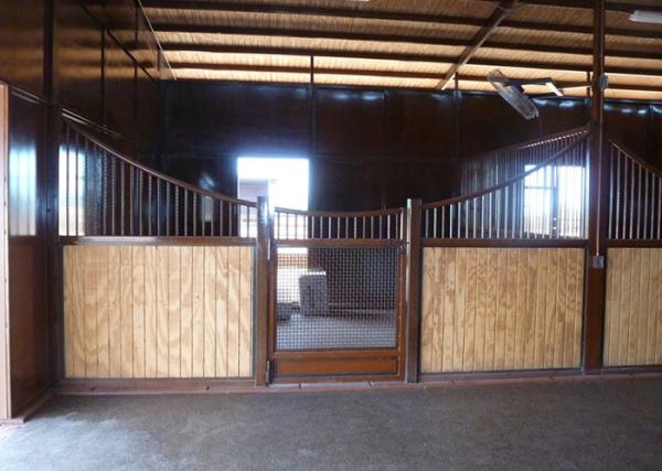 O cavalo europeu da parte traseira interior do sólido para 12 a altura dos pés de comprimento 220cm