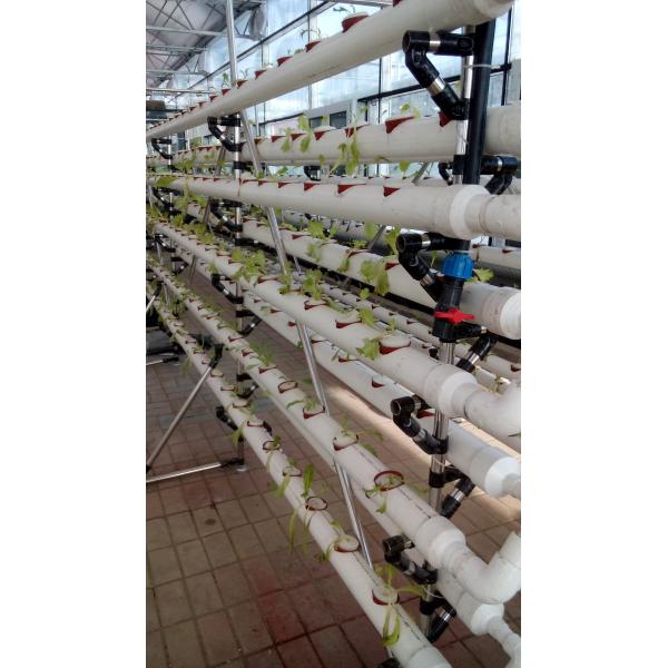 New arrival Hydroponics NFT Greenhouse System with PVC Pipe growing Kits Indoor and Garden