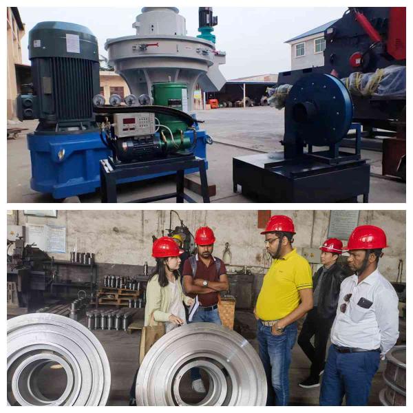 Vertical Sawdust Wood Pellet Maker Ring Die Biofuel Pellet Machine Easy Operation