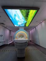 Chambre de secours adaptée aux besoins du client de Mri protégeant le service principal de tour de cage de l'installation rf