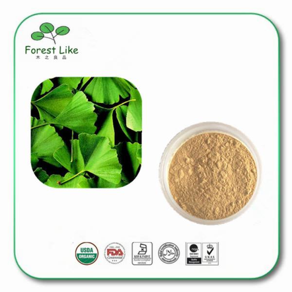 Water Soluble Top Sale 100%Herbal Medicine Ginkgo Biloba Leaf Extract