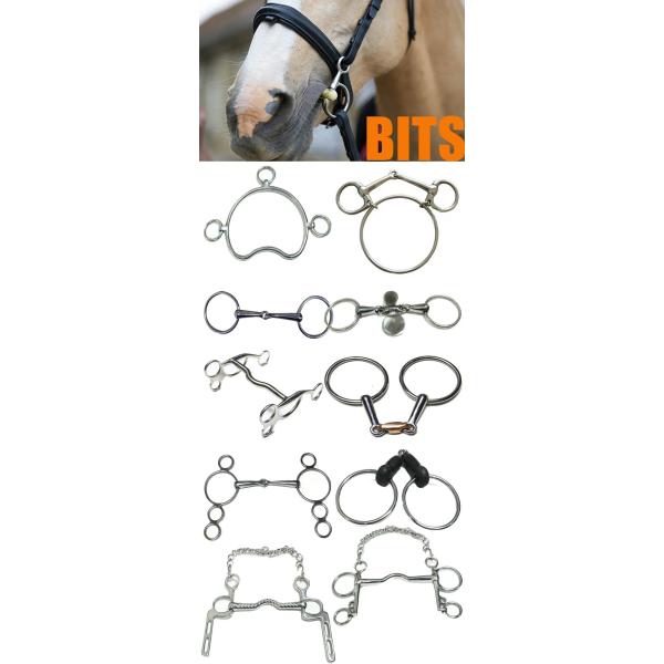 Finition polie en acier inoxydable coude avec une bouche à port bas et des crochets