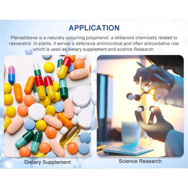 Best Natural Plant Extract Anti-Oxidant Pterostilbene Powder 99% Pterostilbene Similar to Resveratrol Fisetin