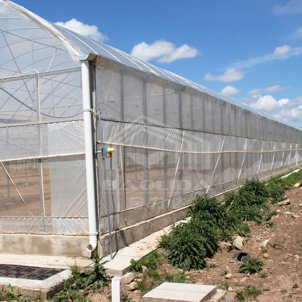 Baolida Polycarbonate Greenhouse Metal Frame Serre Agricole Agricultural Greenhouse Film