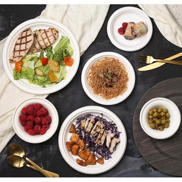 Renewable 8in 10in Biodegradable Bagasse Tableware Plate Pfas Free Take Out Containers