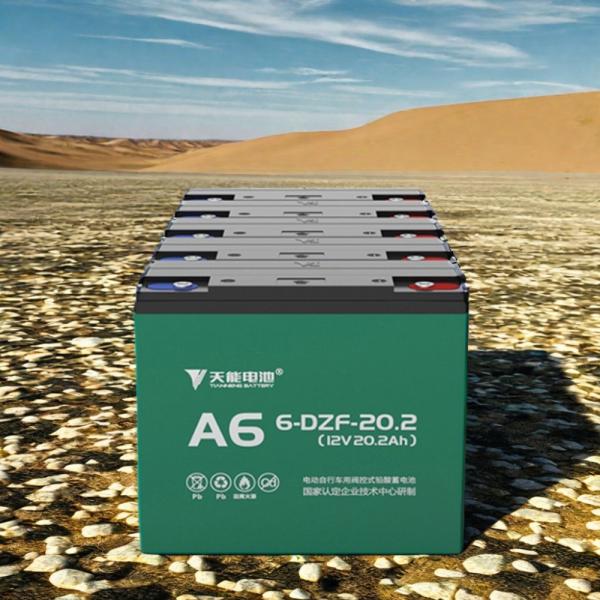 12V20.2Ah 6-DZF-20.2 Dry Charged Sealed GEL Lead Acid Battery for Electric Skateboard