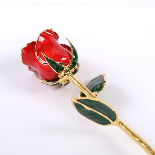 Valentine's Day, Christmas, Mother's Day Gift 24K Gold-plated Rose Red Upgraded Baked Paint Flower Manufacturer