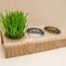 OEM ODM Personalized Pet Bowls Ceramic Elevated Dog Bowls Eco Friendly