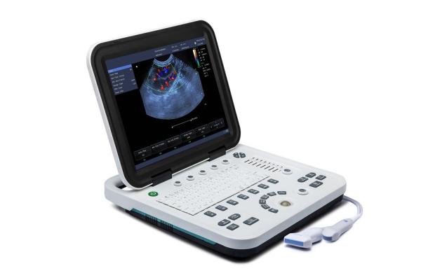 15'' LCD Display Portable Vet Ultrasound Machine Veterinary Use