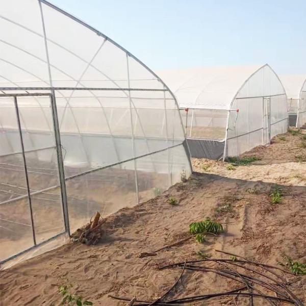 Estufa do túnel do filme da casa da aro do crescimento vegetal da agricultura