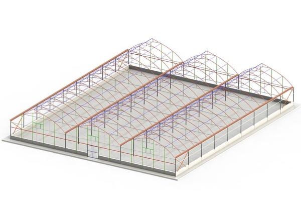 Galvanized Steel Frame Plastic Film Greenhouse For Vegetable Farming