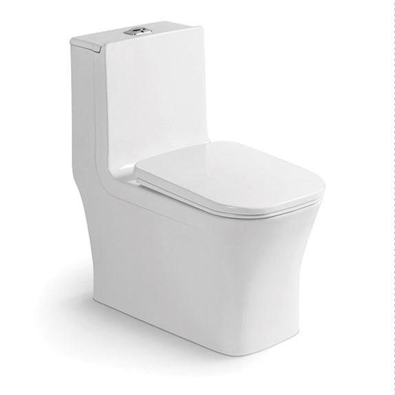 Amérique du Nord Toilette en céramique sifonique moderne à double plancher à chasse d'eau montée en blanc pour salle de bain