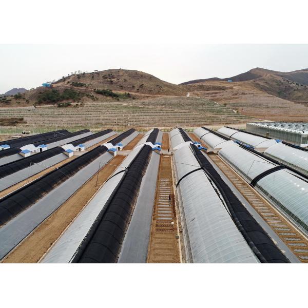Shading , Reduce to Water Evaporation PP Nonwoven for Agricultural