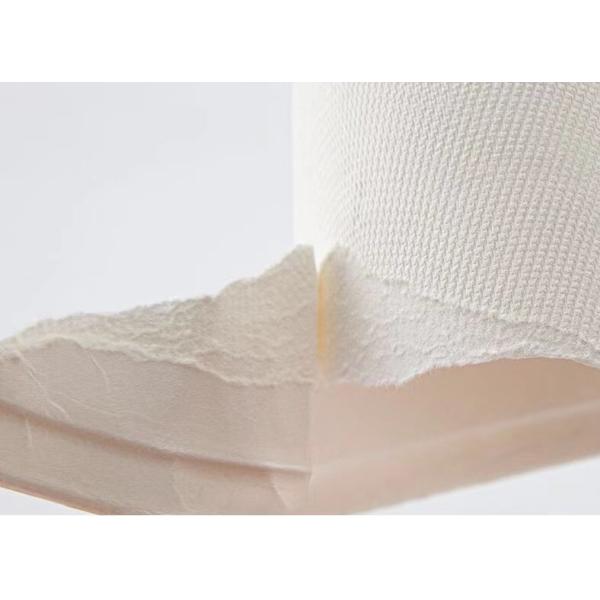 плиты подноса сахарного тростника 8inch устранимые, Compostable бумага багассы плит обедающего