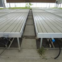Altura ajustable flujo de corriente de reflujo hidropónica invernadero banco rodante tabla de cultivo para la siembra