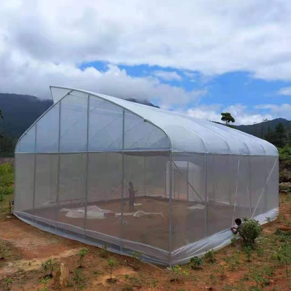 Cheap Good Price Plastic Film Tropical Tunnel House Single-Span Sawtooth Top Vent Greenhouse For Sale