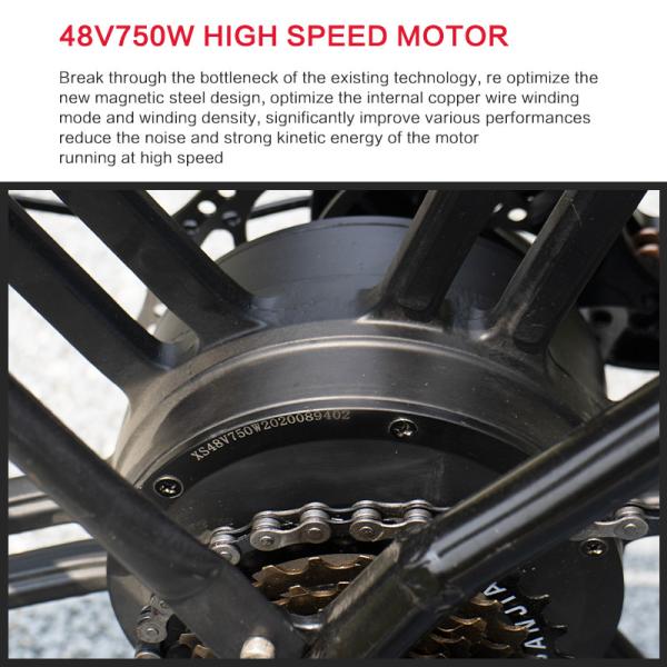 Soft Tail Frame 40Km/H Magnesium Alloy 30-50Km/H Electric Bicycle