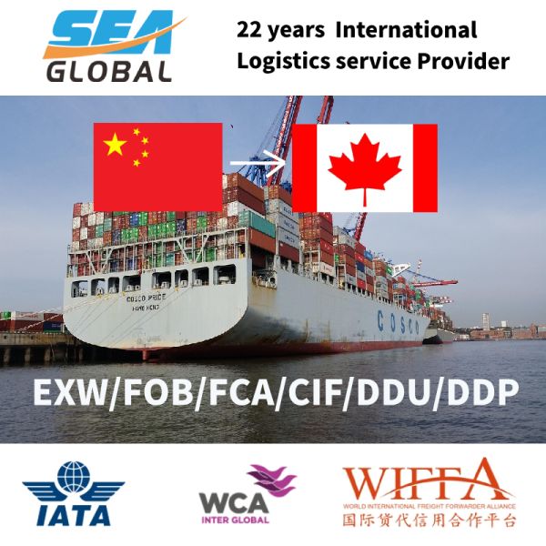 Ocean LCL DDU Freight Forwarder | Direct Shipping to Sweden, Poland, Canada