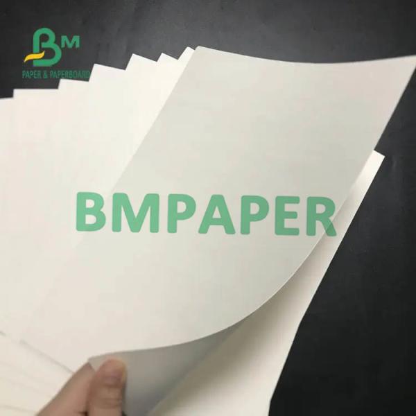 0.4mm 0.5mm 0.6mm 0.7mm Coaster Paper Absorbent Board 460mm X 610mm Sheet