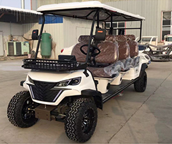 Equipped Standing Position of Tail Caddie Custom Electric Golf Car for Discount Sales