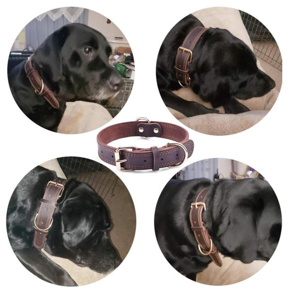 Кольцо воротников собаки двойное д неподдельной кожи оборудования сплава для средних больших собак