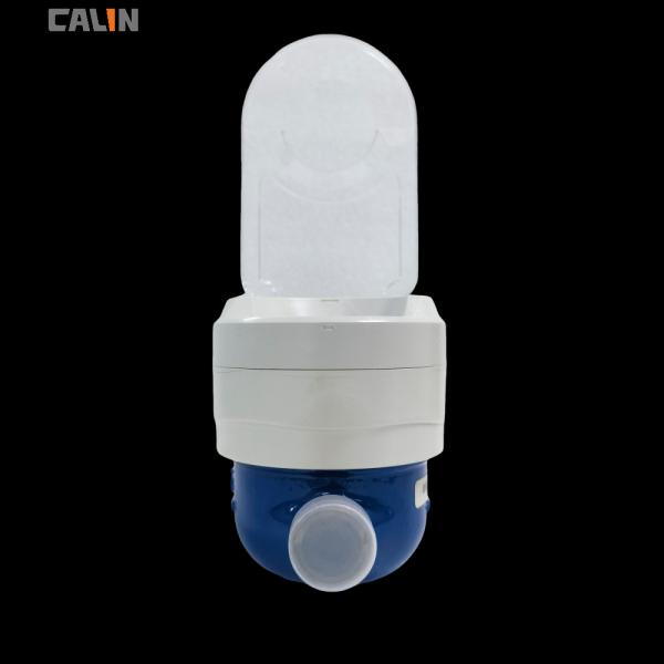 R100 Class B Prepaid Watermeter With Low Credit Warning Programmable