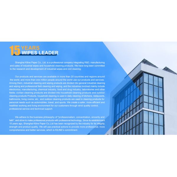 25x25cm Size 35g GSM Cleanroom Wipers with Viscose 50% Polyester 50% Material for Industrial Cleaning