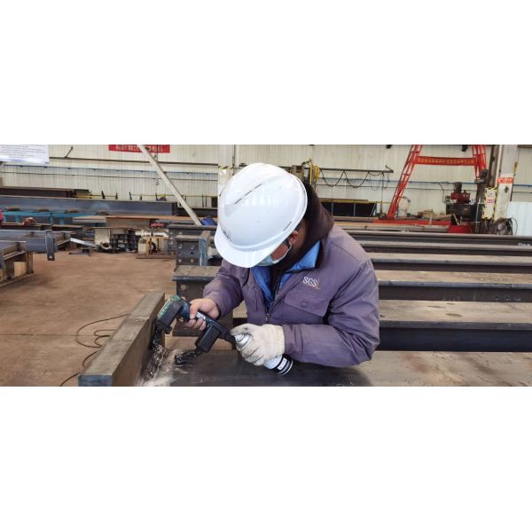 Customizable Dimensions High Strength Steel Frame Fast Installation Prefabricated Steel Structure Poultry House for Broiler Farming