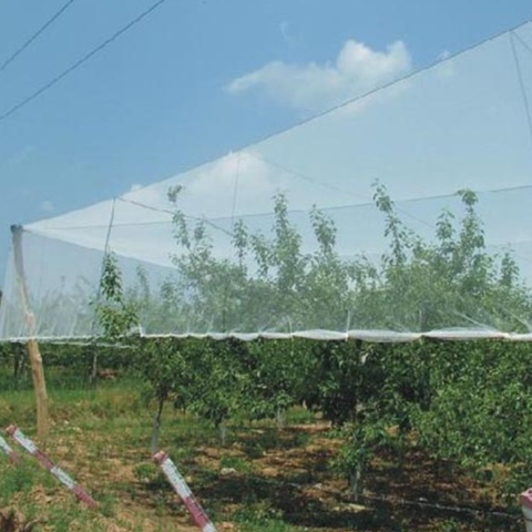 Protective Sleeve Anti Hail Net For Apple Tree Anti Hail Guard Net