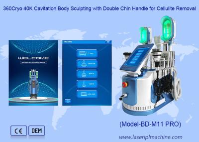 650nm - 550nm Cryolipolysis que adelgaza la máquina para formar/piel Tigtening del cuerpo