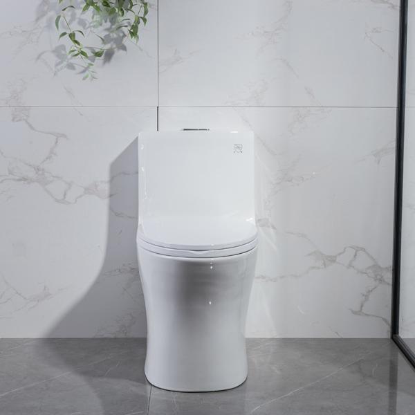 Dual Flush One Piece Elongated Toilet Matt Black S Trap
