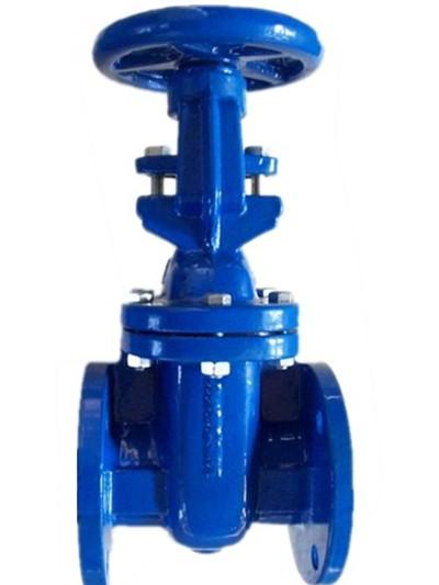 (BS) Cast Iron Gate Valve