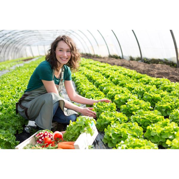 Fulvic Acid Potassium Fertilizer for Beverage Clothing