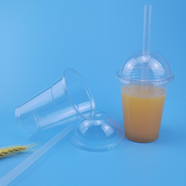 300ml Transparent Single Wall Disposable Bubble Tea Cups