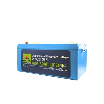 48V 60Ah Lithium fer Phosphate batterie système de batterie bms batterie 48v batterie au lithium