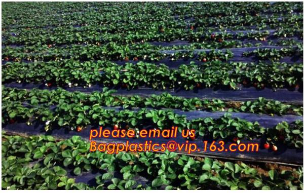 UV Resistant Black White PE/Polyethylene/Poly Reflective Plastic Mulch Film for Agricultural Ground Cover Layer BAGEASE