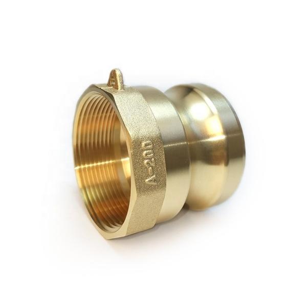 1/2-8 Round Head Brass Camlock Coupling Quick Couplings Type B for Food and Beverage Industry