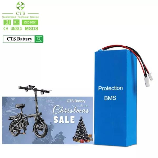 24v 48v 40ah 60ah Lifepo4 Lithium Battery Pack For Electric Motorcycle Ebike Scooter