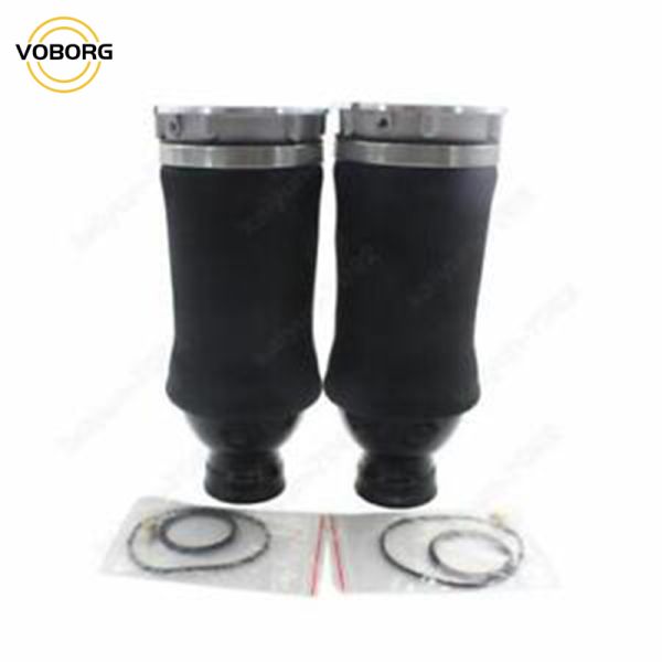 Hot Sell Rear Air Suspension Shock Absorber Reart Left and Right Shock Absorbers for Audi Auto Parts
