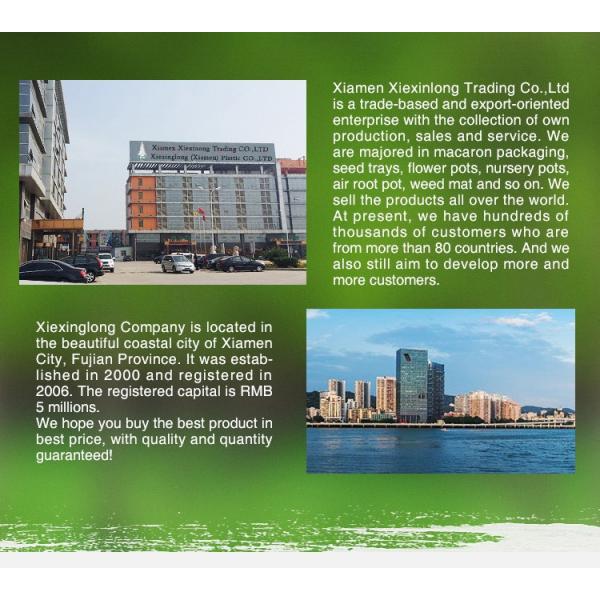 Phone And Socket Clamshell PET PVC Twofold Plastic Blister Packaging